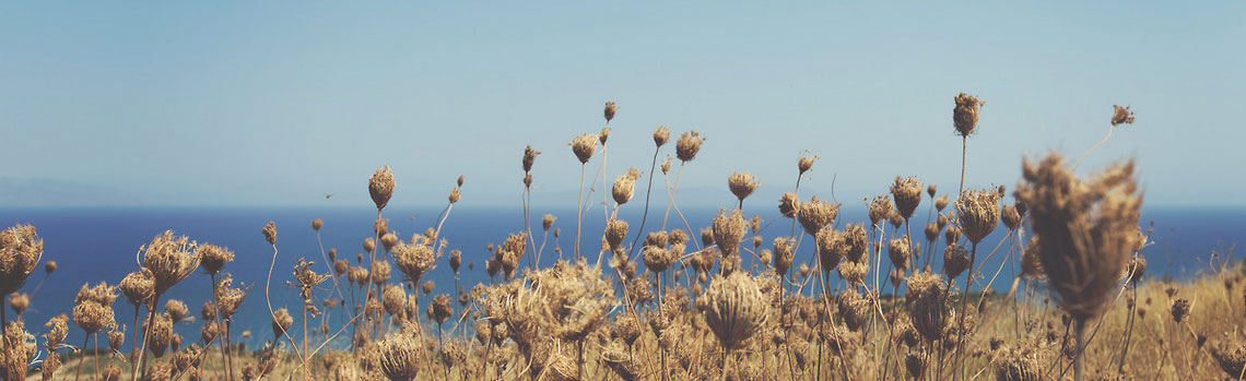 短信电话免费轰炸网站